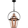 Quoizel Lighting Burdett 2 - Light Pendant in  Aged Copper - 4 of 4