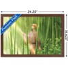 Trends International Fruits Basket - Kyo Soma Framed Wall Poster Prints - 3 of 4