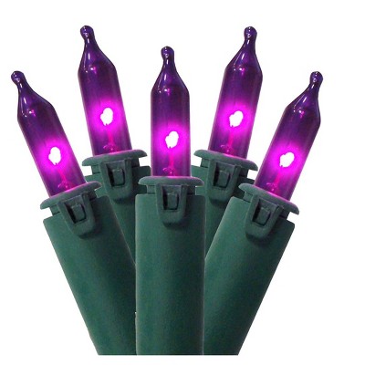 Northlight 100ct Mini String Lights Purple - 45.5' Green Wire