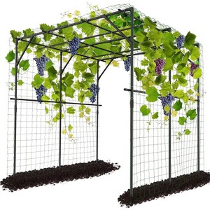 DoCred Tall Garden Arch Trellis for Climbing Plants, 79in Tall Metal Plant Support Trellis Archway for Climbing Vine - 1 of 4