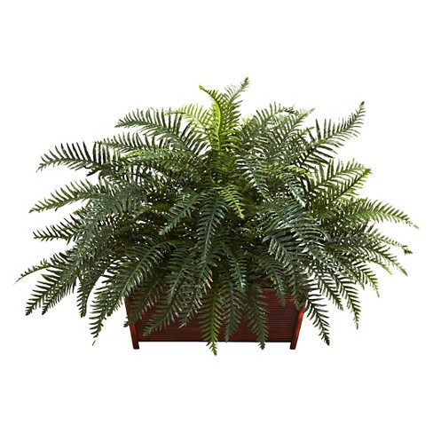 Nearly Natural River Fern with Wood Planter - image 1 of 3