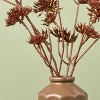 11.5" Eucalyptus Seed Artificial Fall Arrangement - Hearth & Hand™ with Magnolia - 3 of 3