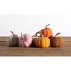 Shiraleah Assorted Set Of 6 Felt Fall Decorative Pumpkins - 3 of 4