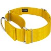 Country Brook Petz 1 1/2 Inch Martingale Heavyduty Nylon Dog Collar - 3 of 4