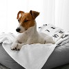 Sweet Jojo Designs Dog Birthday Milestone Blanket Dictionary White and Black - 2 of 4