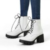 Allegra K Women's Lace Up Decor Platform Chunky Heel Combat Boots - 2 of 4