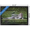 Trends International The Comedy Wildlife Photography Awards: Delphine Casimir - The Rainforest Dandy Framed Wall Poster Prints - 3 of 4