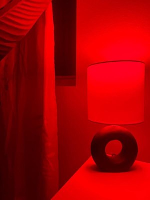 Guest review image 1 of 1, zoom in