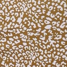 leopard brown