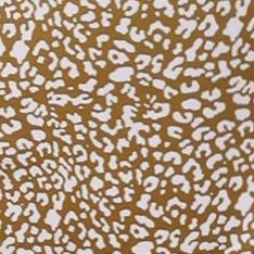 leopard brown
