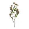 Faux Sage Allium Spray Set of 6 26 inch Height Plastic and Polyester Stems for Displays By Melrose - 2 of 3