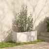 vidaXL Garden Planters 2 pcs White 39.4"x19.7"x19.7" Solid Wood Pine - 3 of 4