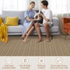 Nasitip Realistic Braided Area Rug,Machine Washable Non-Shedding Modern Abstract Rug for Bedroom,Dining Room,Home Office - 3 of 4