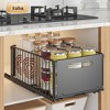 Pull Out Cabinet Organizers, Slide Out Drawer Storage Mesh Basket, Under Sink Shelf For Kitchen - 2 of 4