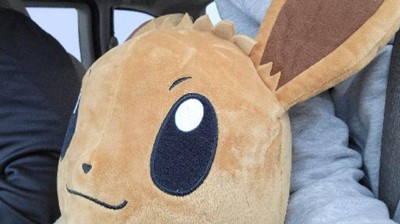 Huge eevee hot sale plush