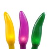 Novelty Lights 50 Light Fiesta Chili Pepper Ristra, 16" Long - 3 of 3
