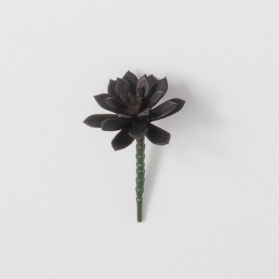 Sullivans Artificial Succulent Pick 6"H Black