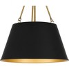 Quoizel Lighting Aberdale 4 - Light Pendant in  Matte Black - 4 of 4