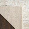 Nourison Dekor Vintage Indoor Rug - 4 of 4