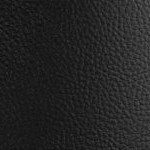 southern california trojans