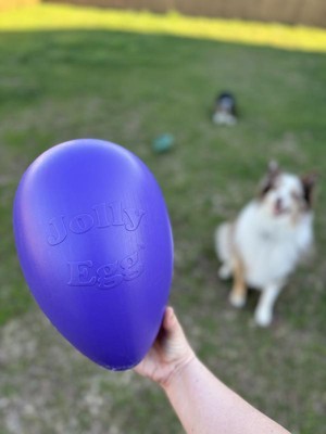 Guest review image 2 of 2, zoom in