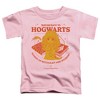 Toddler Boys' Harry Potter Hermione Back To Hogwarts T-Shirt - 2 of 4
