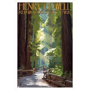 Trends International Lantern Press - Redwoods Pathway in Trees Framed Wall Poster Prints - 1 of 4