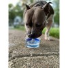 Waggin Water Portable Water Bowl with Chicken for Dogs and Cats - image 3 of 4