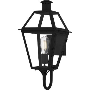 Rue De Royal 1-Light Earth Black Outdoor Wall Lantern - 1 of 4