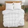 Puredown All Season Organic Cotton Down Comforter - 100% Natural, Chemical-Free, Medium Warmth Duvet Insert - 2 of 4