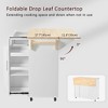 YOOCOZZ Rolling Kitchen Island with Rubber Wood Drop Leaf and Adjustable 3-Tier Pull-Out Cabinet Organizer - 4 of 4