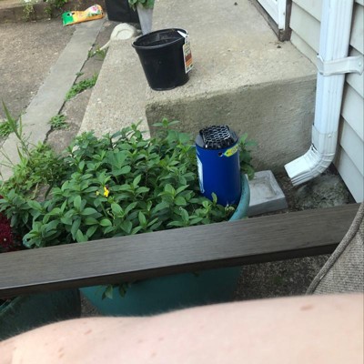 Guest review image 1 of 1, zoom in
