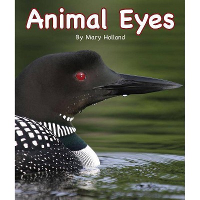 Animal Eyes - by  Mary Holland (Hardcover)