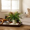 Nearly Natural 16-in Artificial Boston Fern Plant in Decorative Cement Planter - 4 of 4