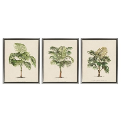 Stupell Industries Les Palmiers Botanical Trio, 17" x 21"