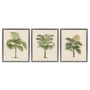 Stupell Industries Les Palmiers Botanical Trio, 17" x 21" - 1 of 4