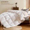 Inhand Down Feather Fiber Comforter - All Season Luxury Duvet Insert, Warm Fluffy Comforter with Premium Cover - 2 of 4