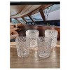 Paisley Acrylic Glasses Drinking Set of 4 DOF (13oz), Plastic Drinking Glasses, BPA Free Cocktail Glasses, Drinkware Set, Drinking Water Glasses - 3 of 4