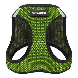Voyager Step-In Dog Harness for Small and Medium Dogs - 1 of 4