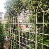 NicBex Garden Trellis for Climbing Plants Outdoor Metal Trellis Anti-Rust Garden Trellis Netting for Garden - 4 of 4