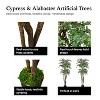 Cypress & Alabaster | Ming 2-Tier In Growers Pot - 3 of 4