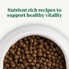 Nutro Natural Choice Lamb and Brown Rice Flavor Small Bites Adult Dry Dog Food - 3 of 4