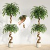 5FT Faux Ficus Tree with Curved Trunk & White Pot - Artificial Silk Plant for Home, Office, Living Room Decor - 2 of 4