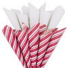 10ct 20"x20" Christmas Tissue Paper Candy Cane Stripe and White - 2 of 4