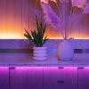 Lit LED Strip Lights - Amber - image 2 of 4