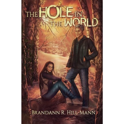 The Hole in the World - by  Brandann R Hill-Mann (Paperback)