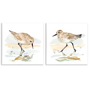 Stupell Industries Sea Birds on Shore, 12" x 12" - 1 of 4