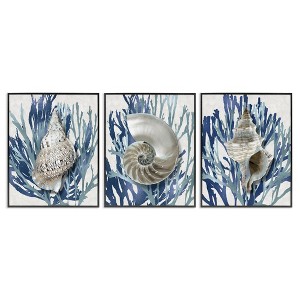 Stupell Industries Trio of Shells & Coral, 11" x 14" - 1 of 4