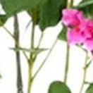 1.2m (4 boxes packed in 1 outer box)