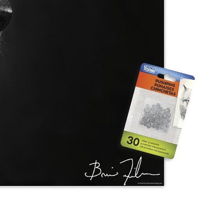 clear push pins bundle